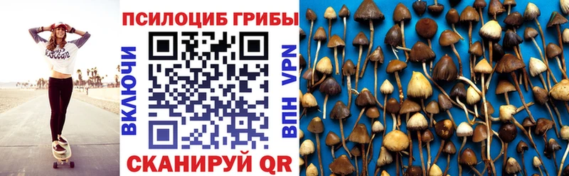 Галлюциногенные грибы MAGIC MUSHROOMS  Богородск 